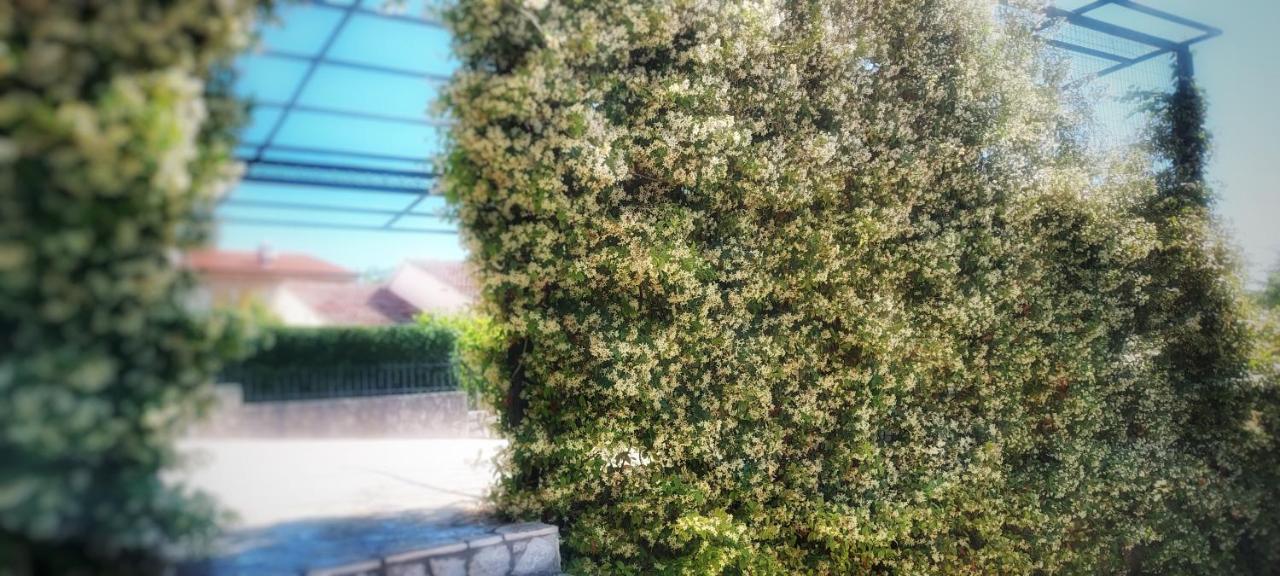 קרק Apartmani Tomislav מראה חיצוני תמונה